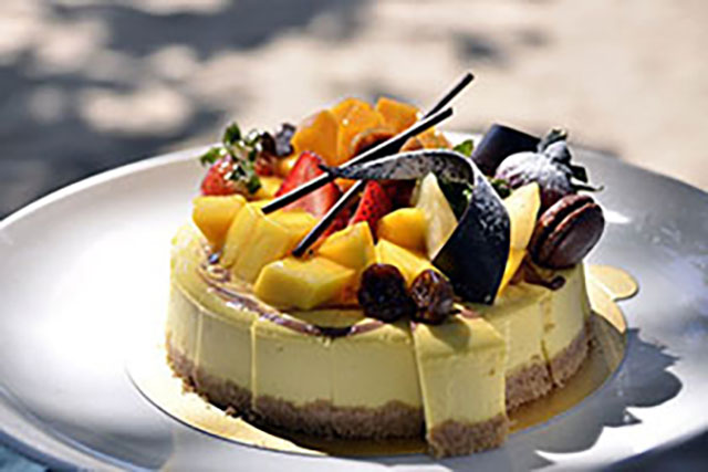 CheeseCake Large